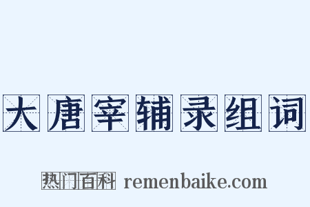 大唐宰辅录组词是什么意思的图片
